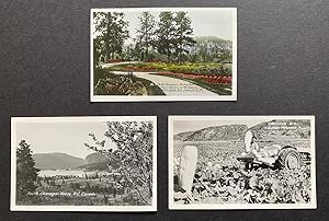 Image du vendeur pour [Hand-Colored RPPC] 3 c. 1930's Real Photo Postcards of the South Okanagan, Osoyoos & Summerland, B.C. mis en vente par Harropian Books,  IOBA