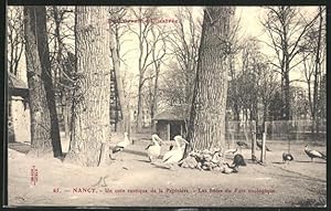 Ansichtskarte Nancy, Un coin rustique de la Pèpinière, Zoo