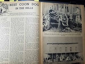 Image du vendeur pour Article: Best Coon Dog in the Hills "From Twilight to Moonsett Seymour Sped through the Hollows like a Bullet Finding its Mark. a Run like This Sure Makes a Man Lonesome for the Rustle of Leaves and the First Nip of Autumn" mis en vente par Hammonds Antiques & Books