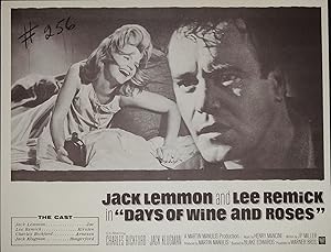 Days of Wine and Roses Synopsis Sheet 1963 Jack Lemmon, Lee Remick