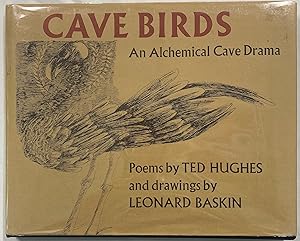 Seller image for Cave Birds: An Alchemical Drama for sale by Before Your Quiet Eyes