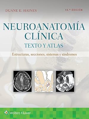 Imagen del vendedor de Neuroanatoma clnica : Texto y atlas: Estructuras, secciones, sistemas y sindromes -Language: spanish a la venta por GreatBookPrices