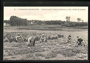 Seller image for Ansichtskarte Verrieres-le-Buisson, Etablissements Vilmorin-Andrieux et Cie, rcolle de graines, Parfmeur for sale by Bartko-Reher