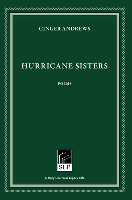 Image du vendeur pour Hurricane Sisters (Paperback or Softback) mis en vente par BargainBookStores