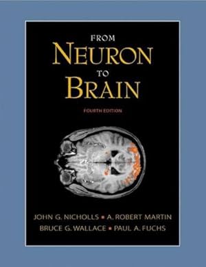 Seller image for From Neuron to Brain: A Cellular and Molecular Approach to the Function of the Nervous System, Fourth Edition for sale by Pieuler Store