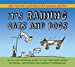 Image du vendeur pour It's Raining Cats and Dogs: An Autism Spectrum Guide to the Confusing World of Idioms, Metaphors and Everyday Expressions mis en vente par Pieuler Store