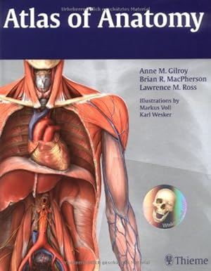 Seller image for Atlas of Anatomy (Thieme Anatomy) for sale by Pieuler Store