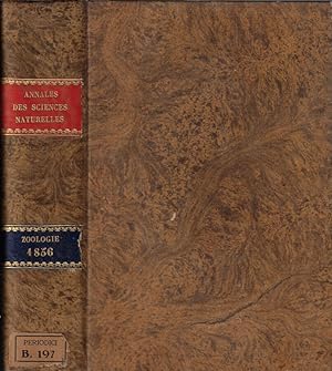 Imagen del vendedor de Annales des sciences naturelles IV srie zoologie tome V-VI 1856 a la venta por Biblioteca di Babele