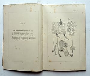 Seller image for Anatomischer Atlas zur Pharmakognosie. 60 Tafeln in Holzschnitt. 1. Heft (Tafeln 1-15). Wien / Leipzig, Urban & Schwarzenberg 1887. for sale by Graphikantiquariat Martin Koenitz