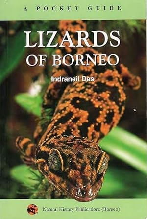 Lizards of Borneo