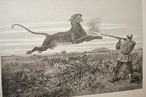 Imagen del vendedor de UN HIVER AU CAMBODGE-CHASSE AU TIGRE, A L'ELEPHANT ET AU BUFLE SAUVAGE-SOUVENIRS D'UNE MISSION OFFICIELLE REMPLIE EN 1880-1881 a la venta por Librairie RAIMOND