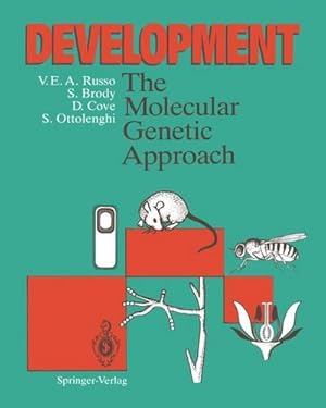 Bild des Verkufers fr Development : The Molecular Genetic Approach zum Verkauf von AHA-BUCH GmbH