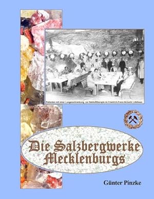 Bild des Verkufers fr Die Salzbergwerke Mecklenburgs zum Verkauf von AHA-BUCH GmbH