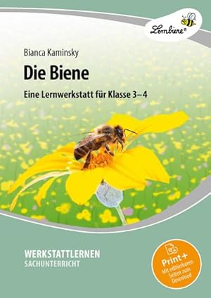 Bild des Verkufers fr Die Biene. Grundschule, Sachunterricht, Klasse 3-4 : (3. und 4. Klasse) zum Verkauf von AHA-BUCH GmbH