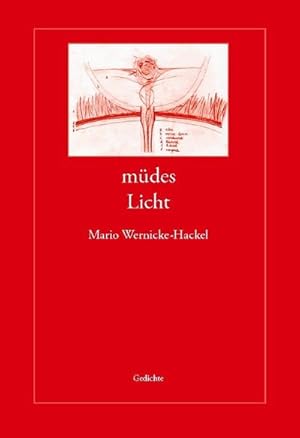 Imagen del vendedor de mdes Licht : Gedichte a la venta por AHA-BUCH GmbH