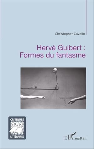 Imagen del vendedor de Herv Guibert : Formes du fantasme a la venta por AHA-BUCH GmbH