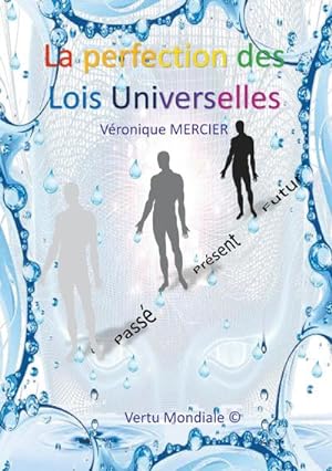 Image du vendeur pour La Perfection des Lois Universelles mis en vente par AHA-BUCH GmbH