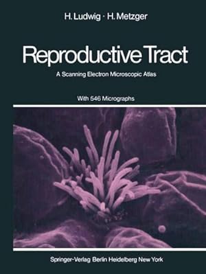 Bild des Verkufers fr The Human Female Reproductive Tract : A Scanning Electron Microscopic Atlas zum Verkauf von AHA-BUCH GmbH