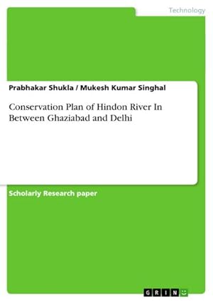 Seller image for Conservation Plan of Hindon River In Between Ghaziabad and Delhi for sale by AHA-BUCH GmbH