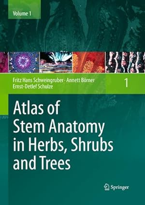 Bild des Verkufers fr Atlas of Stem Anatomy in Herbs, Shrubs and Trees : Volume 1 zum Verkauf von AHA-BUCH GmbH