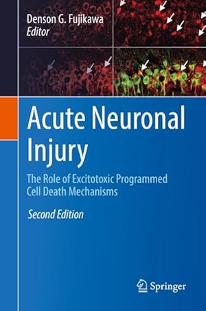 Immagine del venditore per Acute Neuronal Injury : The Role of Excitotoxic Programmed Cell Death Mechanisms venduto da AHA-BUCH GmbH