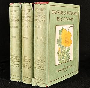Wayside and Woodland Blossoms A Pocket Guide to British Wild-Flowers for the Country Rambler