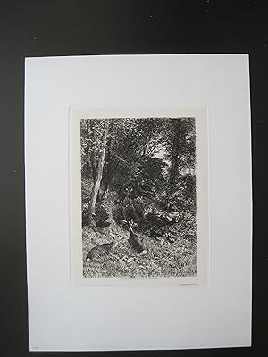 Imagen del vendedor de Gemsen im Wald" Original-Radierung, in Platte signiert (links unten 88), Platte 25 x 19 cm, Blatt: 41 x 31 cm, guter Erhaltungszustand. a la venta por Antiquariat Schleifer