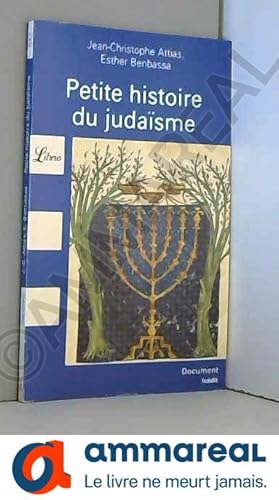 Seller image for Petite histoire du judasme for sale by Ammareal