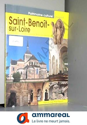 Bild des Verkufers fr Saint Benot Sur Loire zum Verkauf von Ammareal