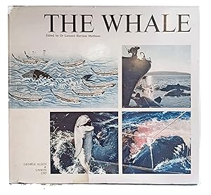 Seller image for The Whale. for sale by Jeff Weber Rare Books