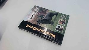 Image du vendeur pour Newfoundland - Dog Breed Book (Pet Love) (Dog Breeds) mis en vente par BoundlessBookstore