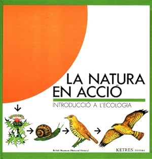 Imagen del vendedor de La natura en acci: Introducci a l'ecologia a la venta por Libros Sargantana