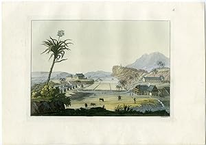 Antique Print-CARRIBEAN-SUGAR PLANTATION-LANDSCAPE-PL.-71-Ferrario-Fumagalli-1821