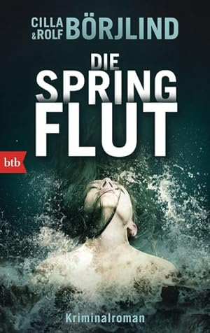 Seller image for Die Springflut for sale by Smartbuy