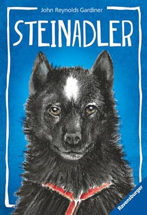 Seller image for Steinadler for sale by Smartbuy
