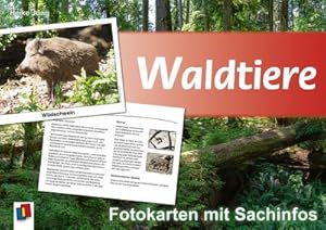 Bild des Verkufers fr Waldtiere - Fotokarten mit Sachinfos zum Verkauf von Smartbuy