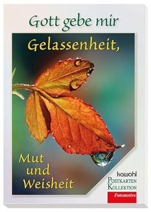 Bild des Verkufers fr Gott gebe mir Gelassenheit, Mut und Weisheit, Postkarten-Buch zum Verkauf von Smartbuy