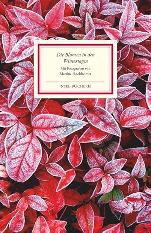 Bild des Verkufers fr Die Blumen in den Wintertagen : Bilder und Texte zum Verkauf von Smartbuy