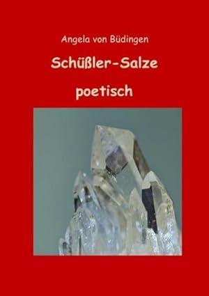 Bild des Verkufers fr Schler-Salze poetisch zum Verkauf von Smartbuy