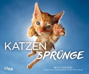 Seller image for Katzensprnge for sale by Smartbuy