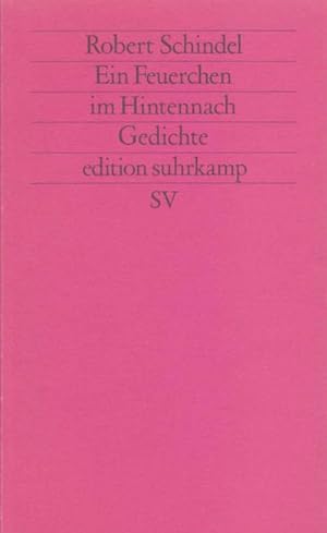 Bild des Verkufers fr Ein Feuerchen im Hintennach : Gedichte 1986-1991 zum Verkauf von Smartbuy