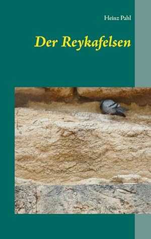 Seller image for Der Reykafelsen for sale by Smartbuy