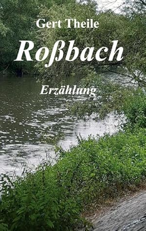 Seller image for Robach : Erzhlung for sale by Smartbuy