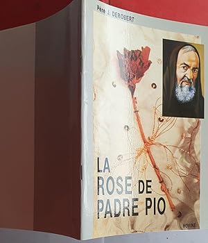 La rose de Padre Pio
