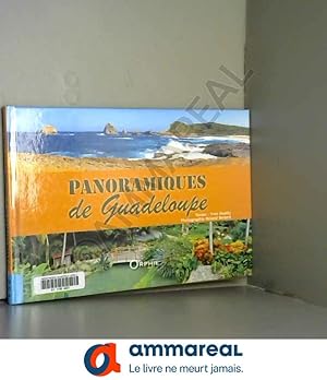 Bild des Verkufers fr Panoramiques de Guadeloupe zum Verkauf von Ammareal