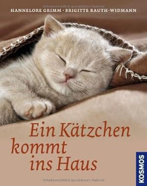 Seller image for Ein Ktzchen kommt ins Haus for sale by Allguer Online Antiquariat