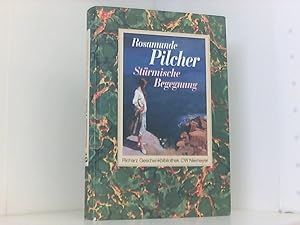 Seller image for Strmische Begegnung: Roman (Richarz Geschenkbibliothek im Verlag C W Niemeyer. Grossdruckreihe / Bcher in grosser Schrift) for sale by Book Broker