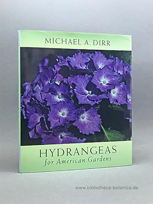 Hydrangeas for American gardens.