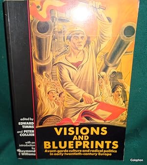 Seller image for Visions and Blueprints. Avant Garde Culture and Radical Politics in Early Twentieth Century Europe for sale by Colophon Books (UK)