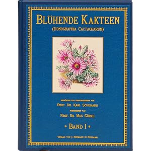 Blühende Kakteen - 1